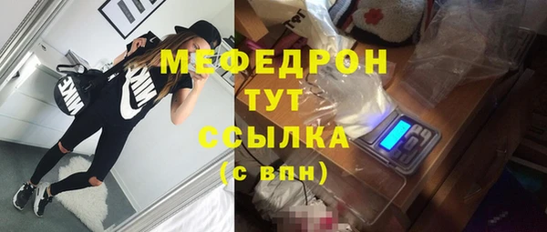 амф Гусиноозёрск