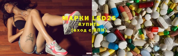 амф Гусиноозёрск