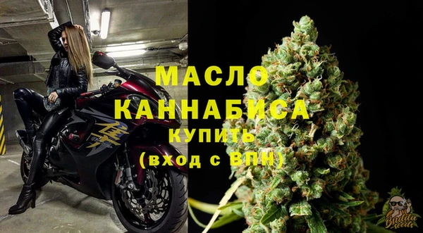 амф Гусиноозёрск