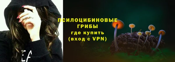 амф Гусиноозёрск