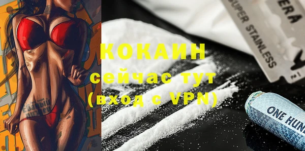 соль ск Дмитровск