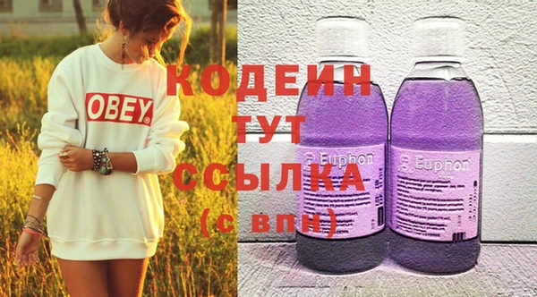 амф Гусиноозёрск