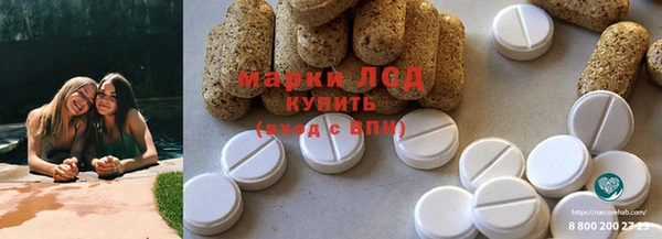 амф Гусиноозёрск