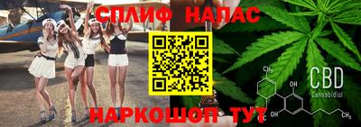 стафф Кандалакша