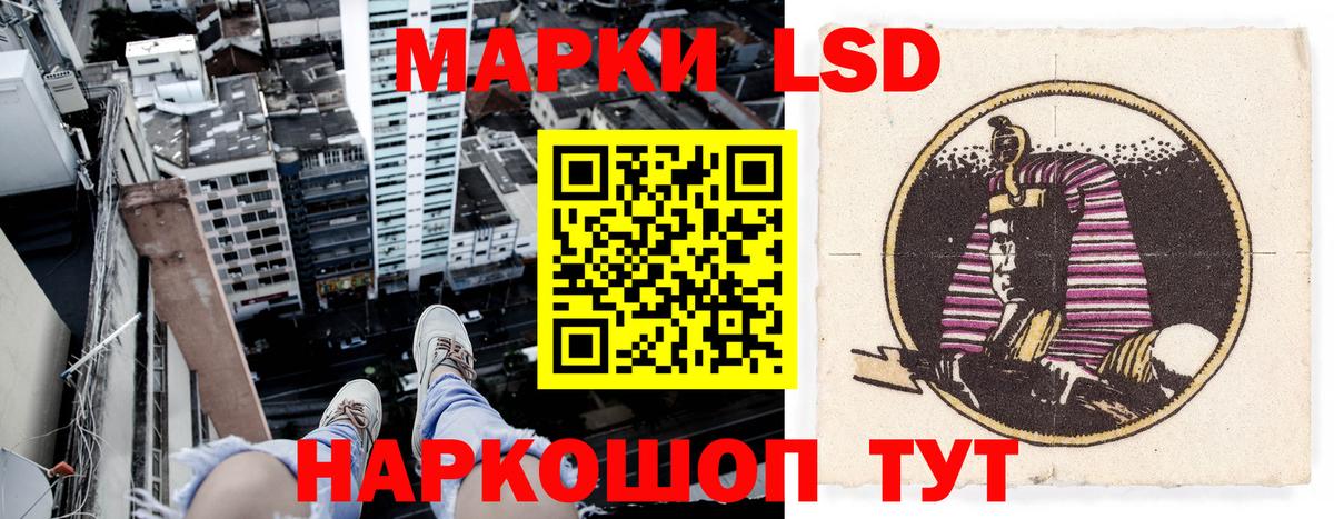 Лсд 25 Сланцы