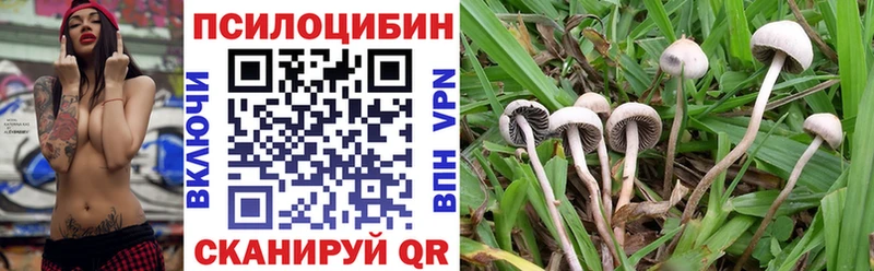 Псилоцибиновые грибы Psilocybe  omg онион  Сланцы 