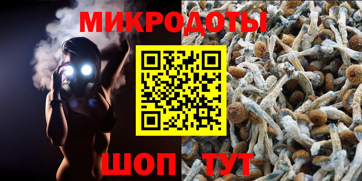 Галлюциногенные грибы мицелий Сланцы