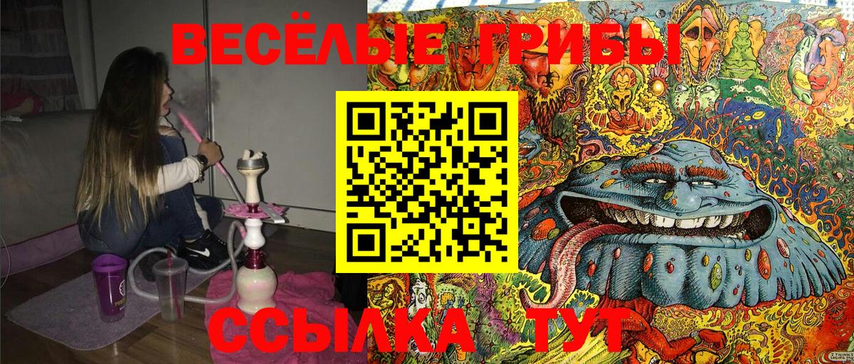 Псилоцибиновые грибы GOLDEN TEACHER  Вход с VPN  Сланцы  Псилоцибиновые грибы Cubensis 